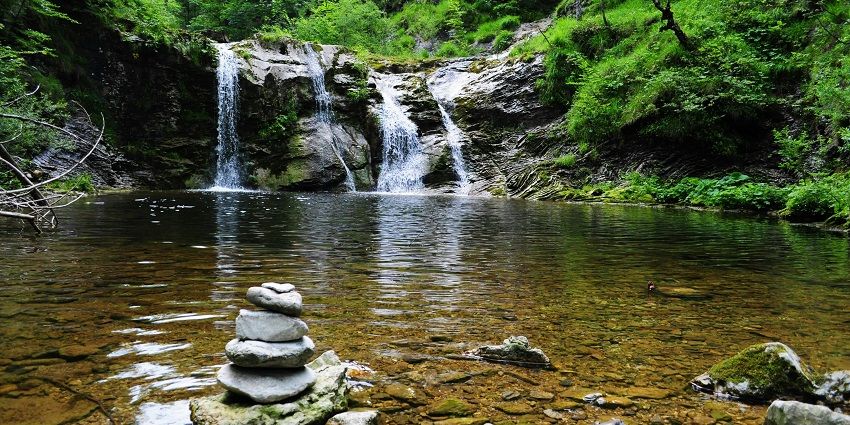 A calm body of water surrounded by green trees, making it a relaxing spot for visitors.