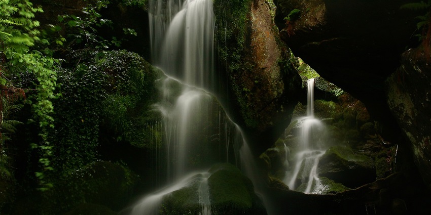 Scenic view of a waterfall creek in a forest, showcasing one of the largest waterfalls in Maharashtra.