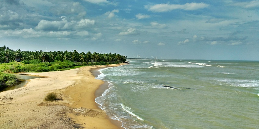 Bhogwe Beach is a serene retreat with golden sands and coconut groves.