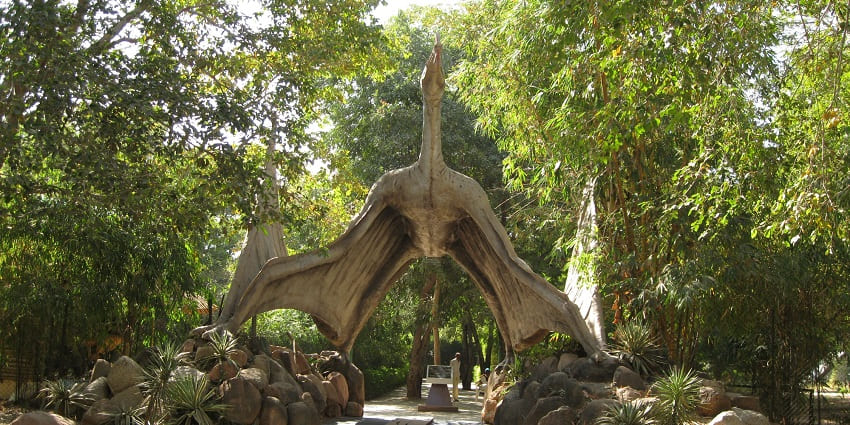 Bhondsi nature park is one of the places to visit near Gurgaon within 50kms
