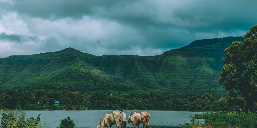 Bhor Ghat, one of the popular hill stations near Pune within 100 kms, is a sight to behold.
