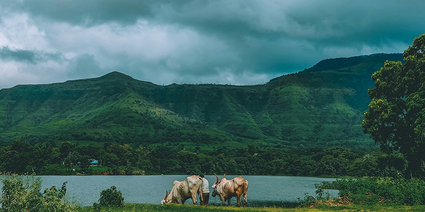 A picture of Bhor Ghat with rolling hills, highlighting the best places to visit near Navi Mumbai.