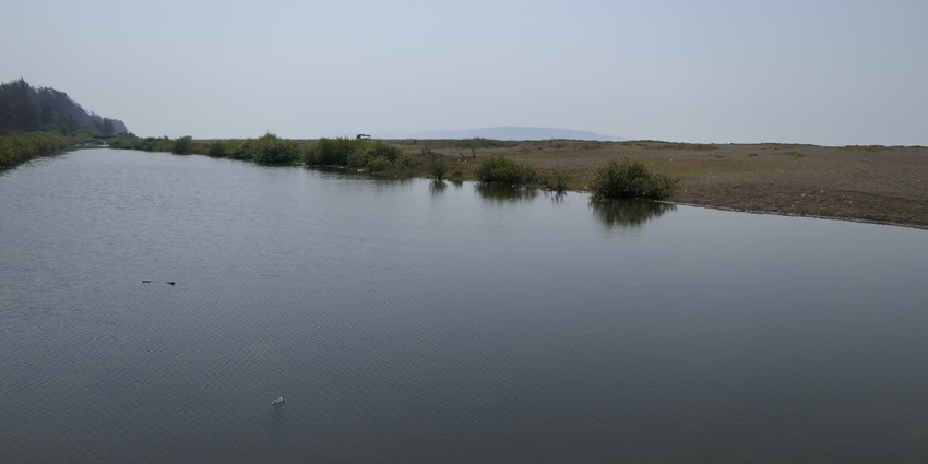 Bhuigaon Beach near Vasai offers serene surroundings and minimal crowds.