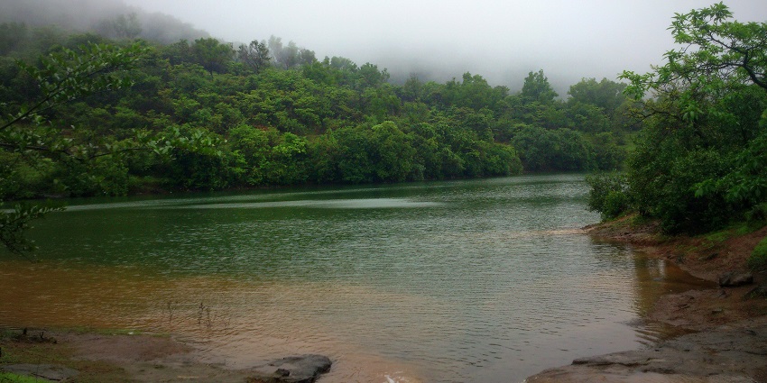 Bhushi Dam, a popular spot near Rajmachi Fort in Maharashtra, is surrounded by dense vegetation.