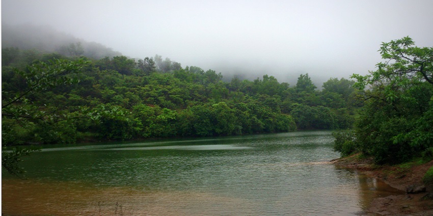 An image of the Bhushi Dam with cascading waters and a lively atmosphere.