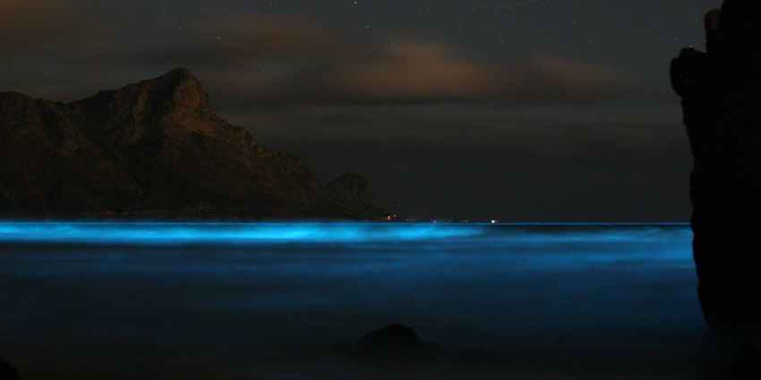 Alluring snap of the Bioluminescent Plankton on the Bangaram island and its illuminating shore