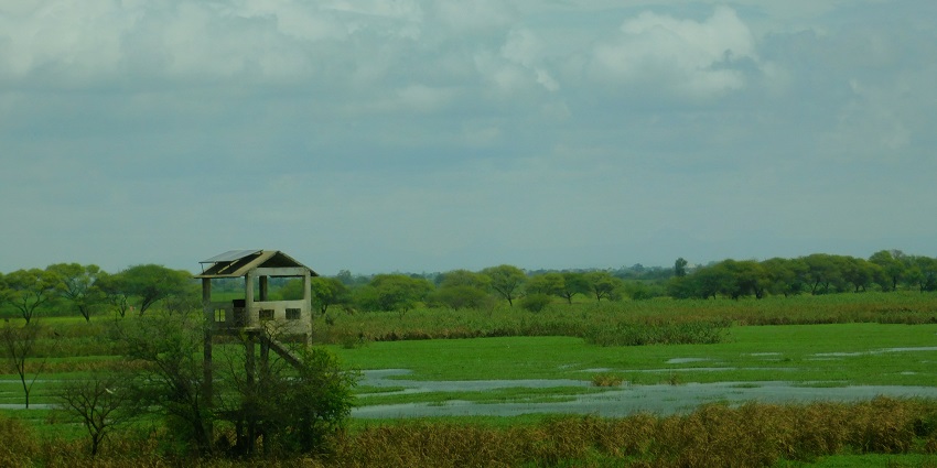 This bird sanctuary is the ideal place for birdwatching and boat rides.