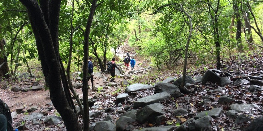 View Karnala Fort atop a hill with dense forest and bird watching trails below