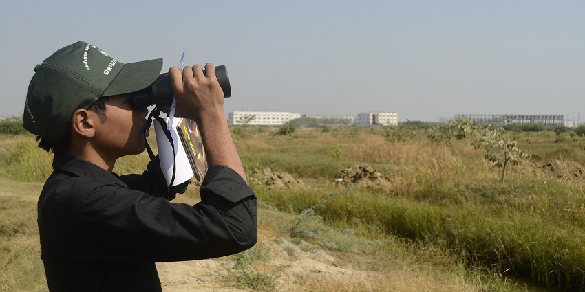 Birdwatching enthusiasts observe a variety of colorful birds in their natural habitat.