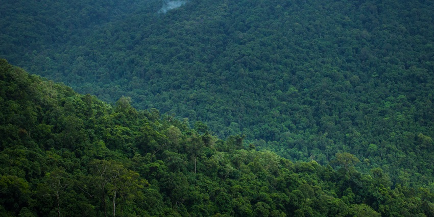 Places to visit in Sakleshpur include the dense forests surrounding the Bisle Ghat.
