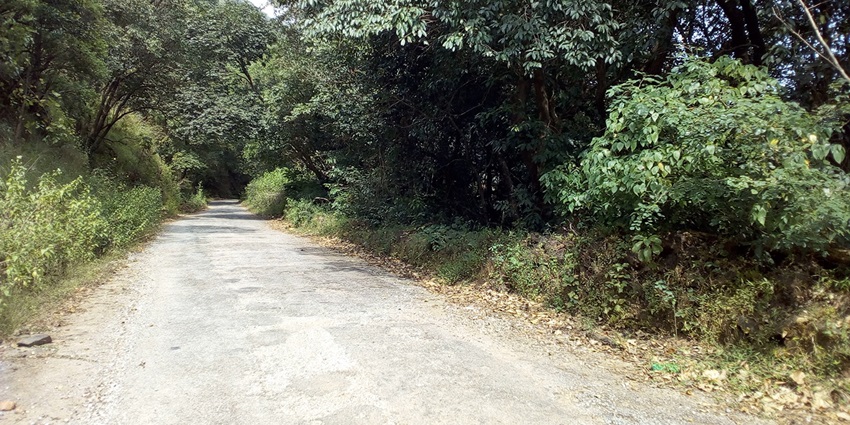 Bisle Ghat and Forest Reserve in Hassan boasts stunning views and rich biodiversity.