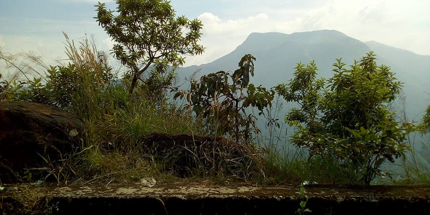 A breathtaking view of the lush landscape from Bisle Ghat, known for its scenic beauty
