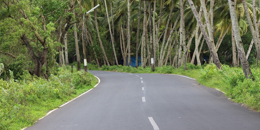 A view of a serene road lines by lush trees heading to the Blue Whale Water Park in Goa.