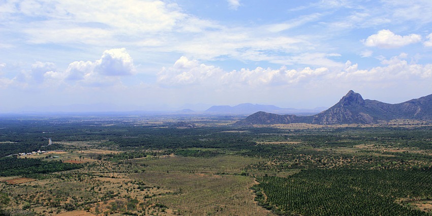 An image of Bodinayakanur tea plantations, showcasing the beauty of attractions near Palani