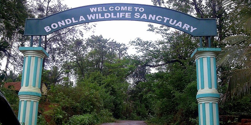Bondla Wildlife Sanctuary is a vibrant reserve in Goa, is home to diverse flora and fauna.