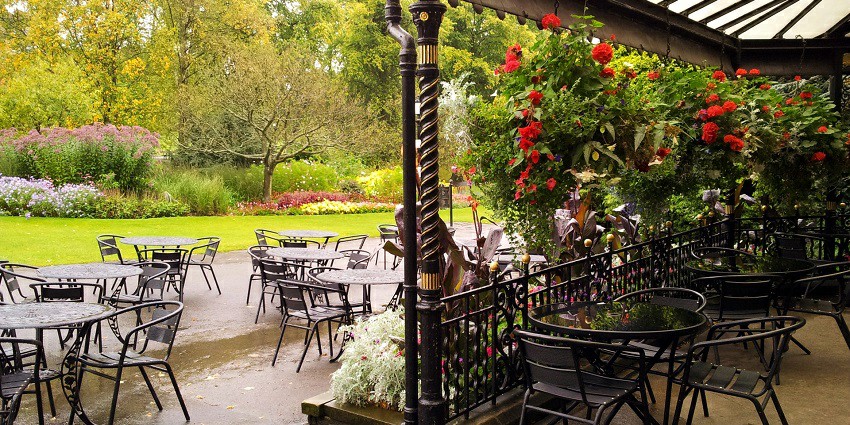Bonobo offers a relaxed atmosphere and varied menu.