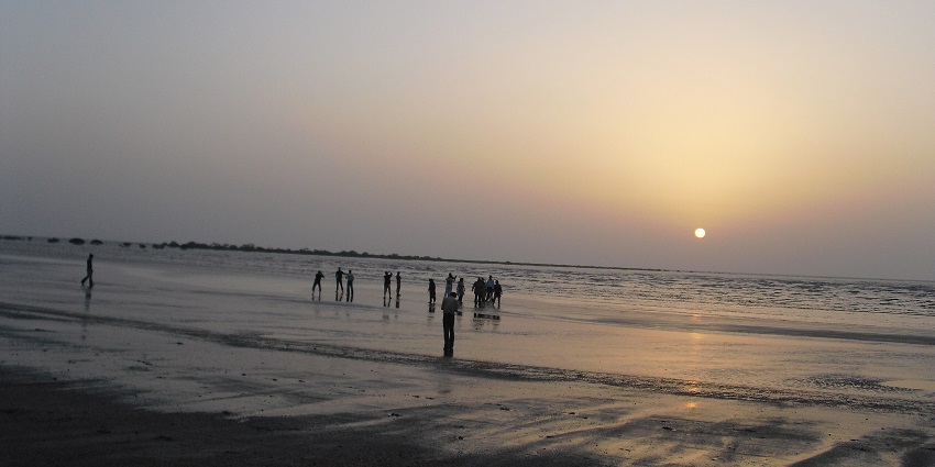 Tranquil beach featuring soft sands and lush coconut trees.