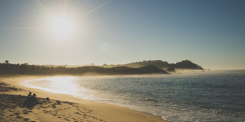 An image of a peaceful Bordi Beach shoreline with calm waves and tall palm trees under blue sky.