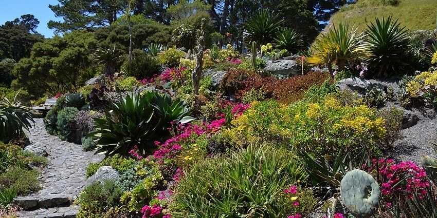 Discover diverse flora at the Botanical Garden in Bondla Wildlife Sanctuary.
