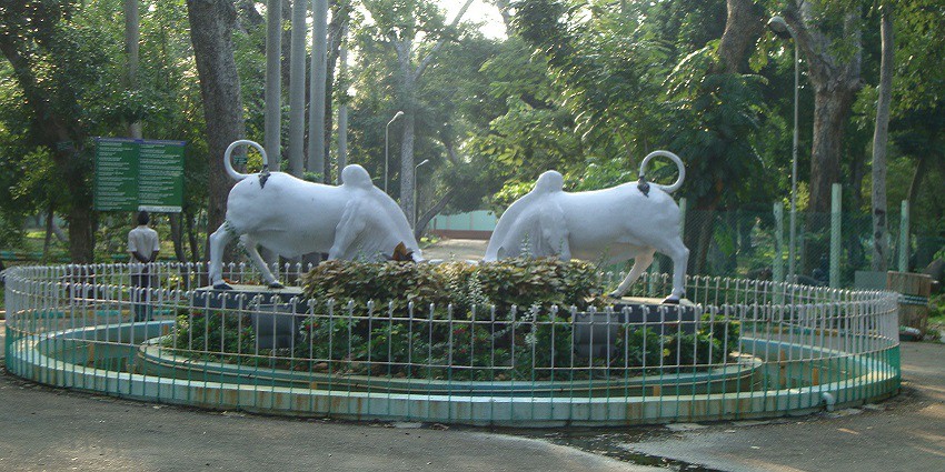 A view of the Botanical Garden, showcasing lush dense greenery and diverse plants.