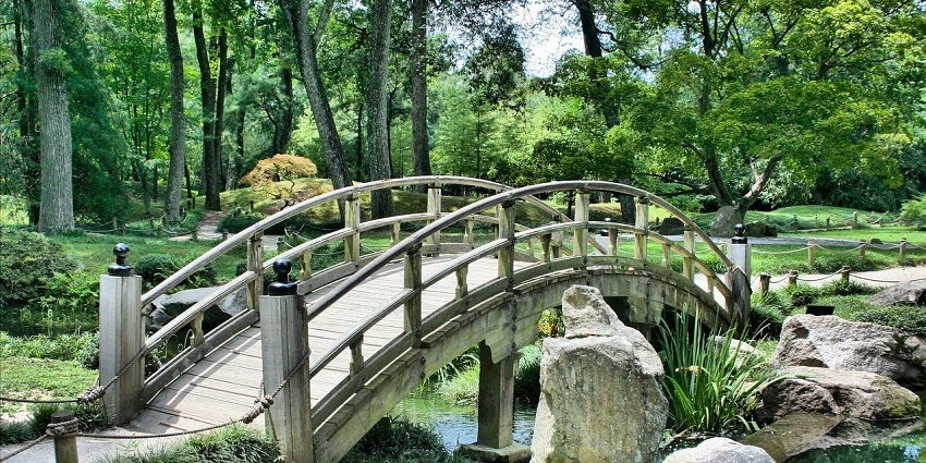 A serene picture of the Botanical Garden, perfect for photography and nature fans