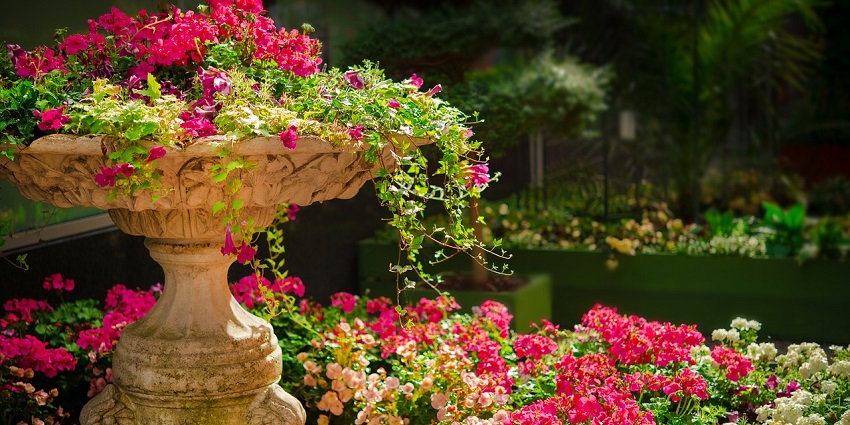 A vibrant garden filled with pink flowers surrounded by lush green plants and trees.
