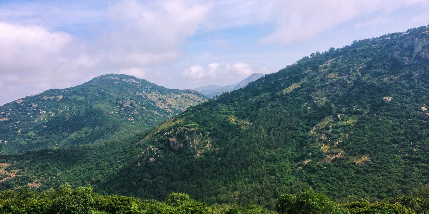 A picture captured from the top of Brahmagiri Hill of Trimbakeshwar Temple.