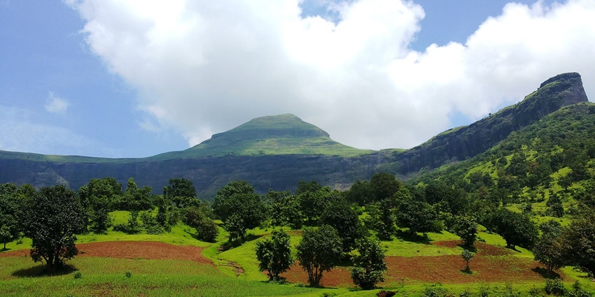 Brahmagiri Hill offers scenic treks with lush landscapes, wildlife, and valley views.