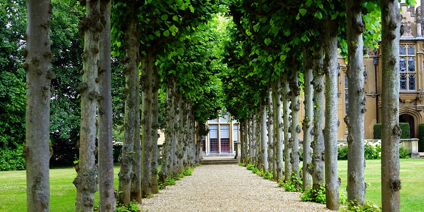 Brahmand Garden is a popular place, perfect for families and individuals for serenity.