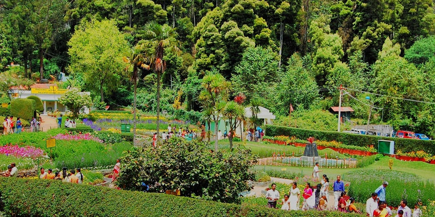 Places to visit near Kodaikanal Tamil Nadu feature lush botanical gardens showcasing a variety of flowers and plants.