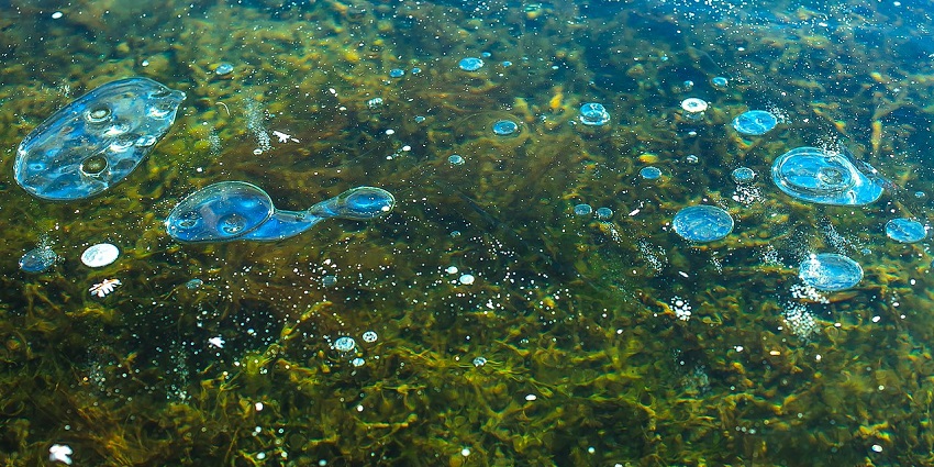 The bubble lake is one of the most amazing places around netravali wildlife sanctuary.