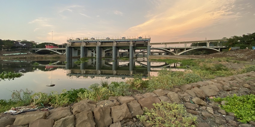 Bund Garden: Riverside park with vibrant flowers and serene pathways for travellers.