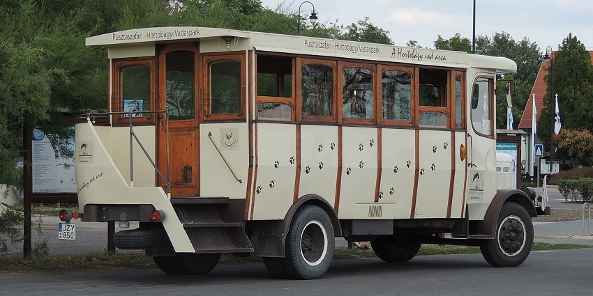 Bus safari is one of the best ways to explore the Neyyar Wildlife Sanctuary.