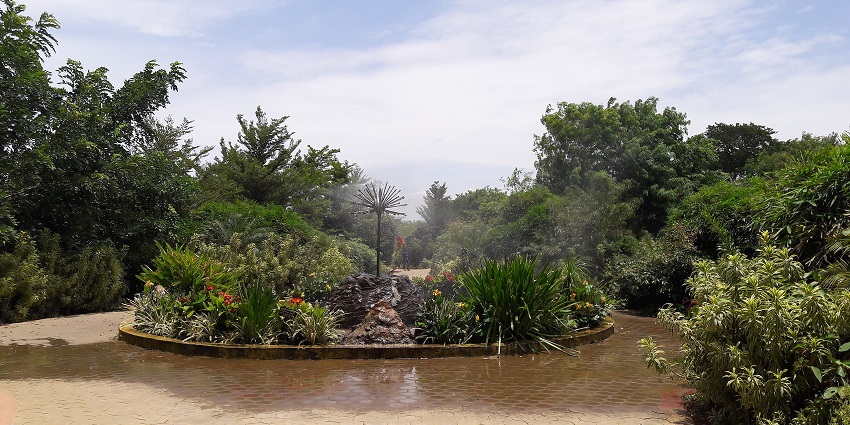 Tranquil park featuring vibrant butterflies and lush surroundings