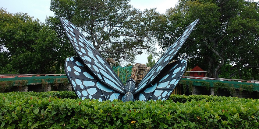 Have fun at Butterfly Park, Srirangam, a short distance from the main spot.
