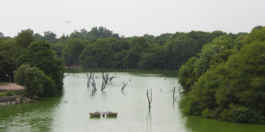 Beautiful image of a lake among the lush forest area, one of the best places to visit in Faridabad