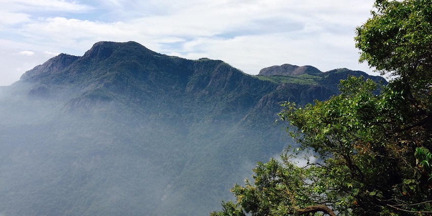 Scenic trek through lush forests with diverse wildlife encounters while trekking in Ooty.