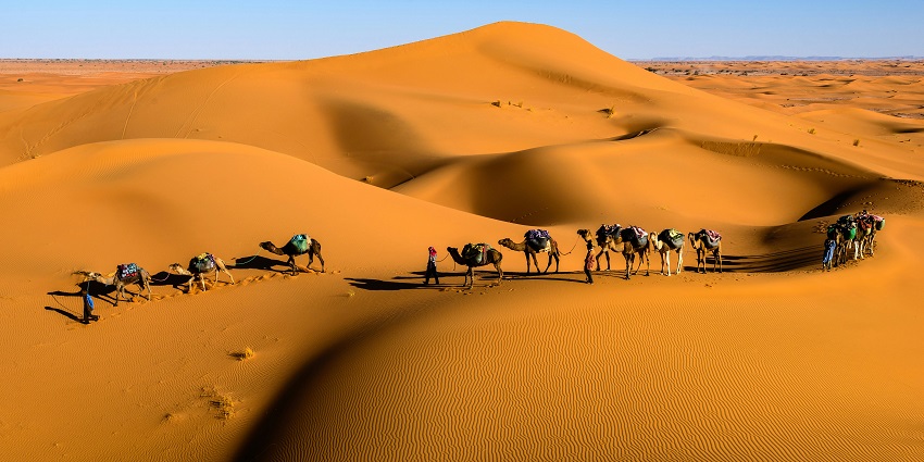 Camel riders enjoy a desert safari, capturing the essence of adventure and travel.