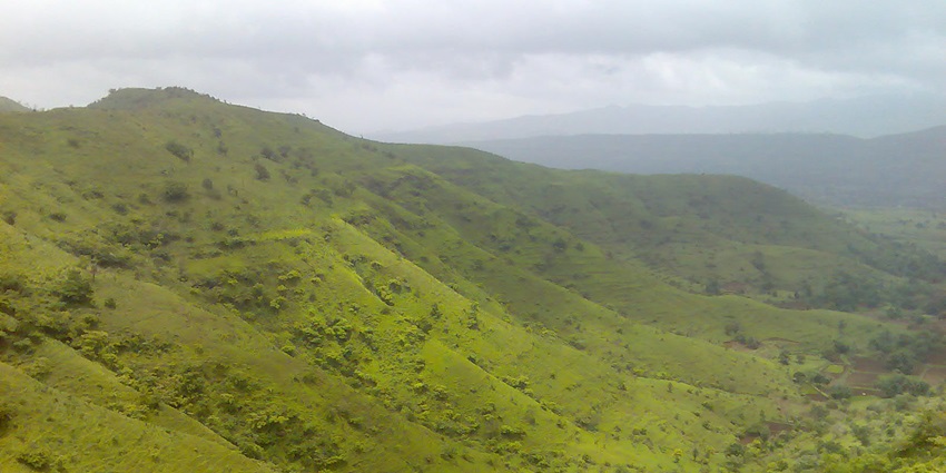 A breathtaking lush green view of a valley in Maharashtra during the daytime.
