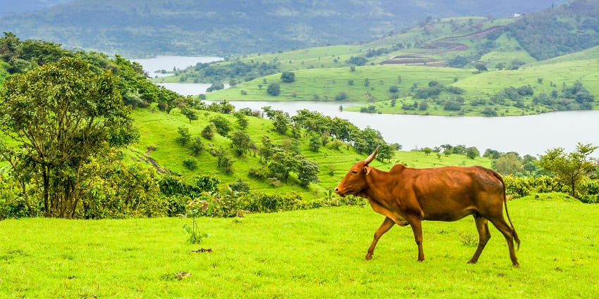  Explore the scenic view of Panshet Dam - one of the things to do in Panshet, India.