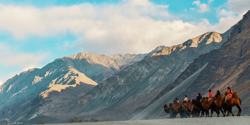 Go camping in Nubra Valley to watch camel and yak safaris and feel the crisp mountain air