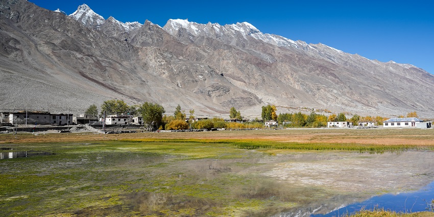 Enjoy camping in Zanskar Valley with its multiple flowering meadows and green fields