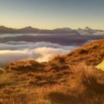 Camping tents located on a hill among the trees with the city lights behind them at night