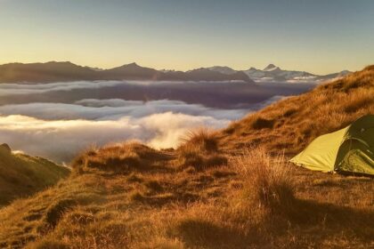 Camping tents located on a hill among the trees with the city lights behind them at night