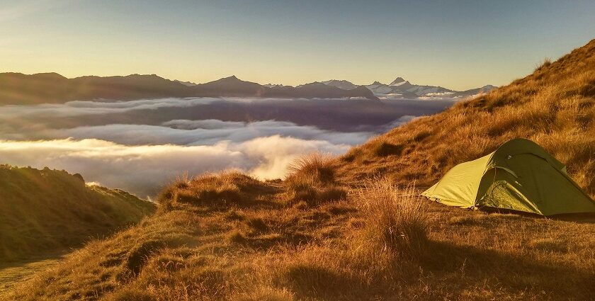 Camping tents located on a hill among the trees with the city lights behind them at night