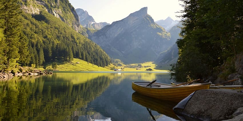 A peaceful river with paddle boats gliding along, surrounded by greenery and tall trees