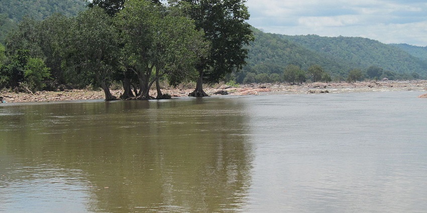 Places to visit near Hogenakkal Falls features a wildlife sanctuary home to flora.