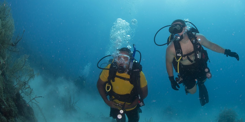 Chakra Divers provides diverse diving experiences for all skill levels.
