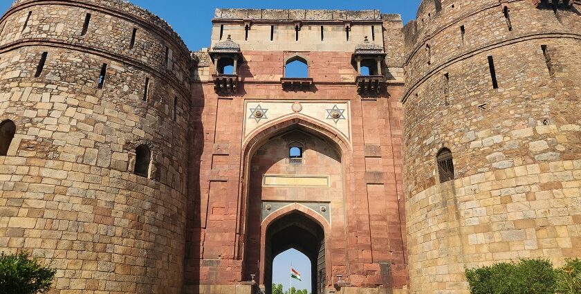 A historic brick wall covered with lush green ivy and other foliage in Maharashtra.