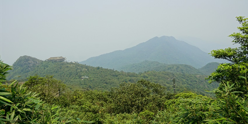 An image of Chandoli National Park, which is famous for its different kinds of plants, animals, and insects.